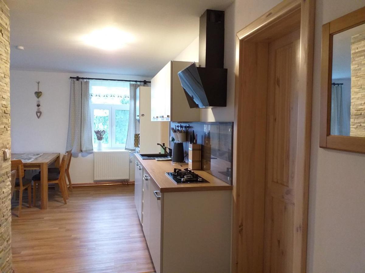 Apartmany Hajovna Lipno Loučovice Eksteriør billede