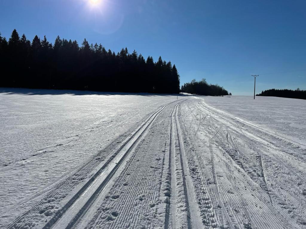 Apartmany Hajovna Lipno Loučovice Eksteriør billede