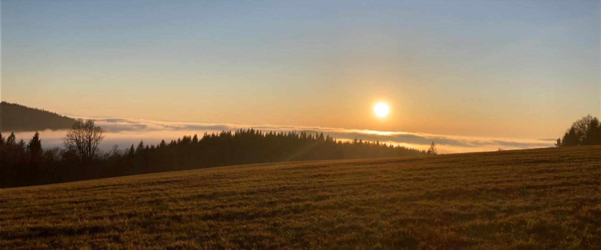 Apartmany Hajovna Lipno Loučovice Eksteriør billede