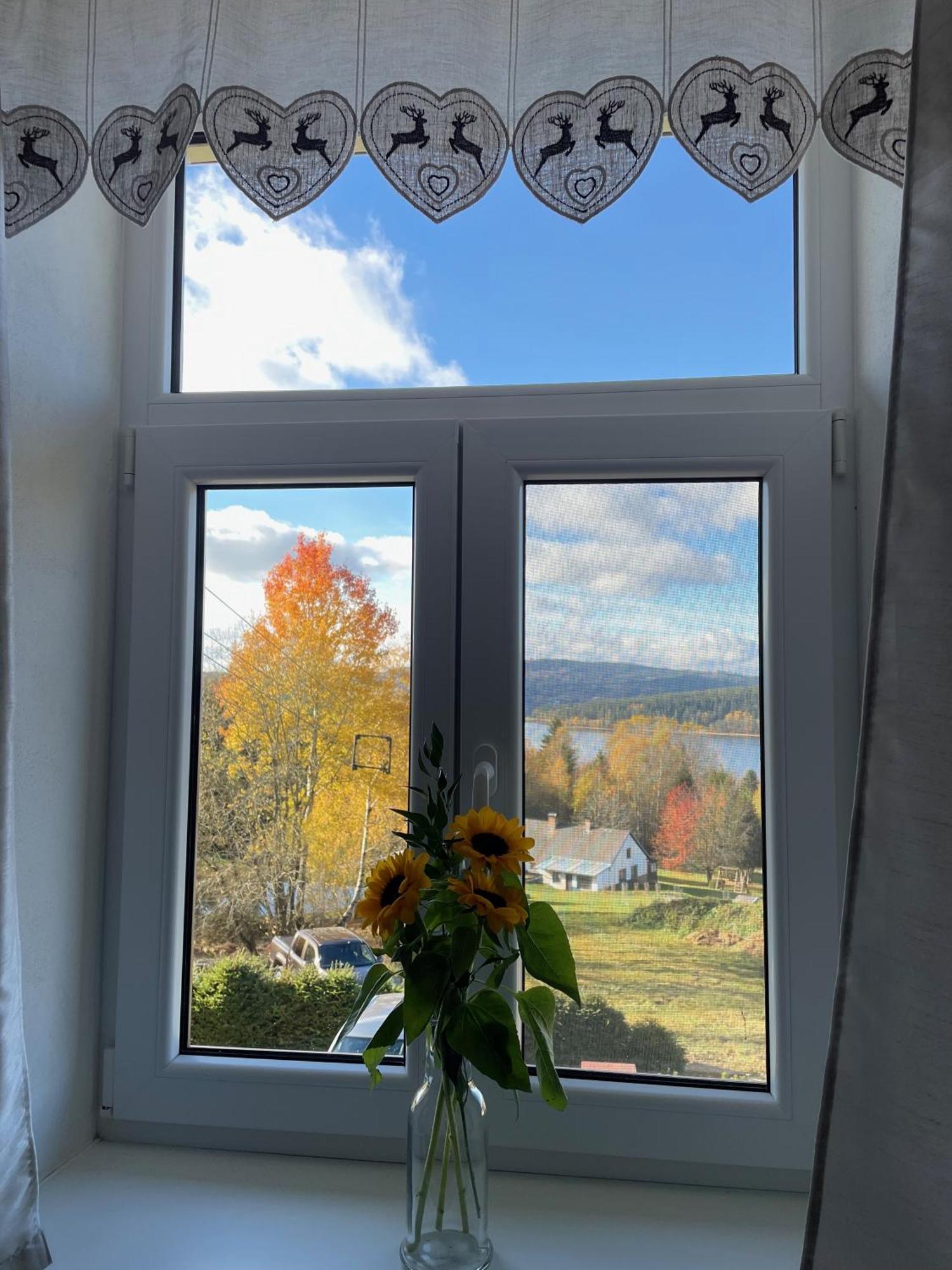 Apartmany Hajovna Lipno Loučovice Eksteriør billede
